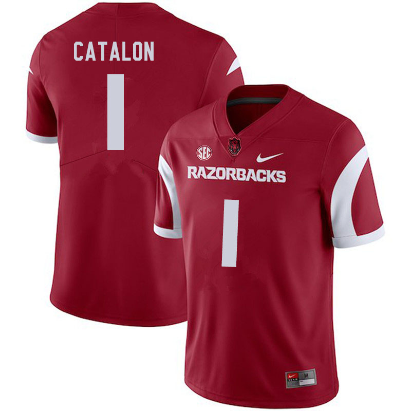 Men #1 Jalen Catalon Arkansas Razorbacks College Football Jerseys Sale-Cardinal